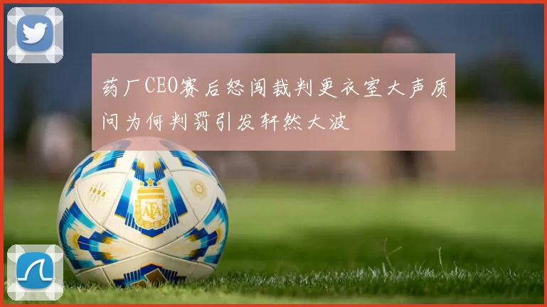 药厂CEO赛后怒闯裁判更衣室大声质问为何判罚引发轩然大波